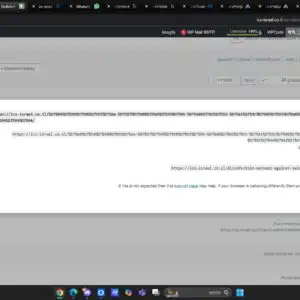 Double Redirect Flow Visualization