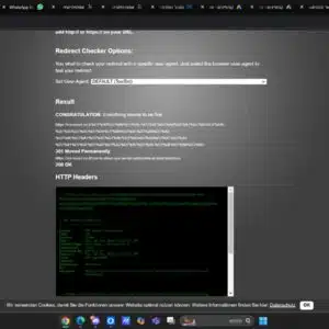 Double Redirect Flow Visualization